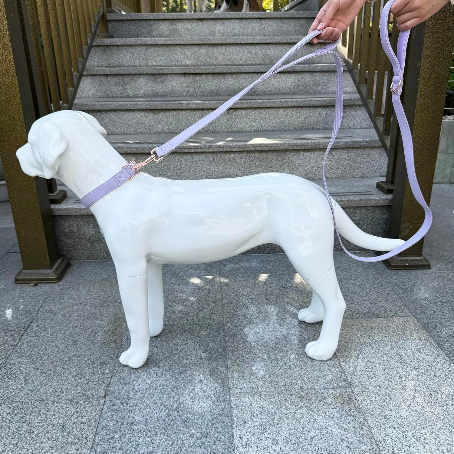 Dog Leash 6ft Long,Traffic Padded Two Handle,Heavy Duty,Double Handles Lead for Control Safety Training,Leashes for Large Dogs or Medium Dogs,Dual Handles Leads (Purple, 25MM*6FT)