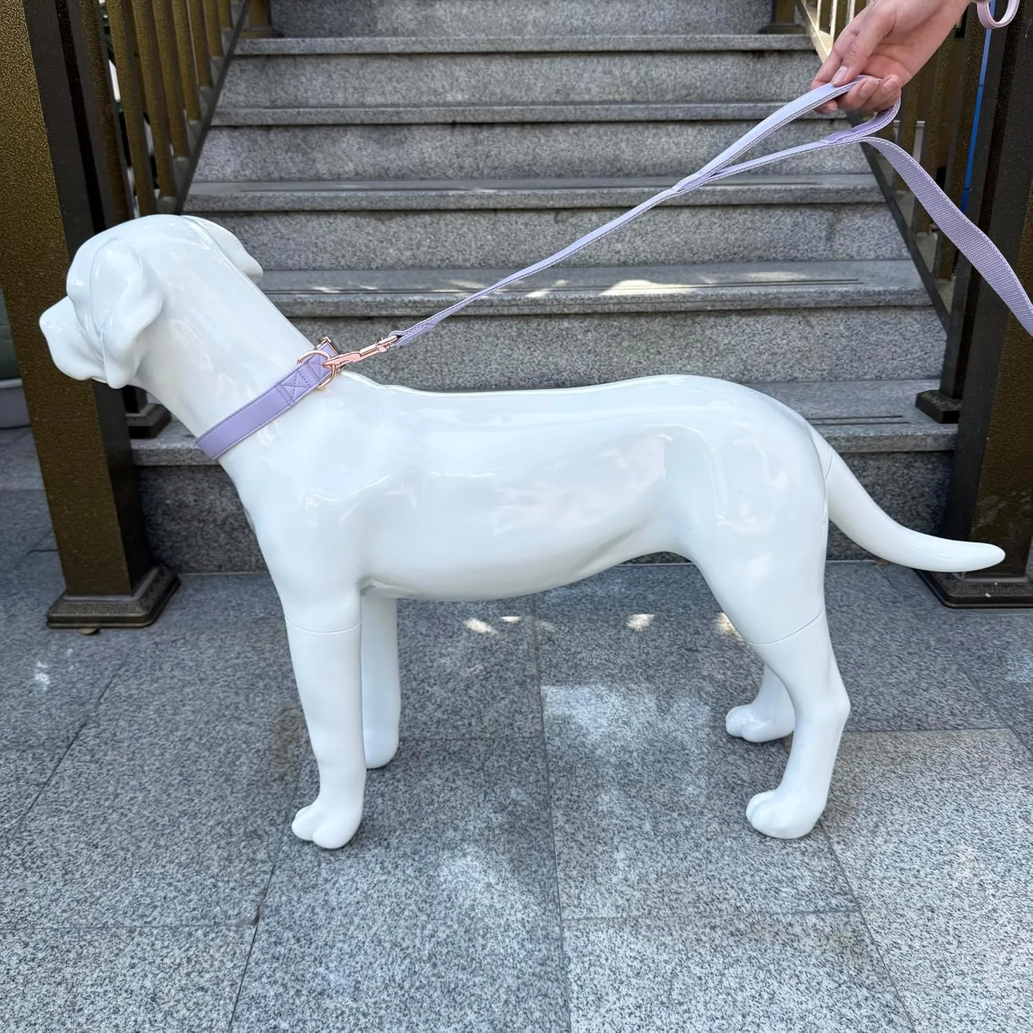 Dog Leash 6ft Long,Traffic Padded Two Handle,Heavy Duty,Double Handles Lead for Control Safety Training,Leashes for Large Dogs or Medium Dogs,Dual Handles Leads (Purple, 25MM*6FT)