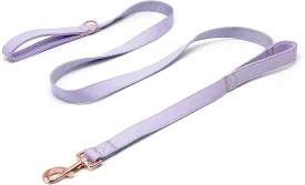 Dog Leash 6ft Long,Traffic Padded Two Handle,Heavy Duty,Double Handles Lead for Control Safety Training,Leashes for Large Dogs or Medium Dogs,Dual Handles Leads (Purple, 25MM*6FT)