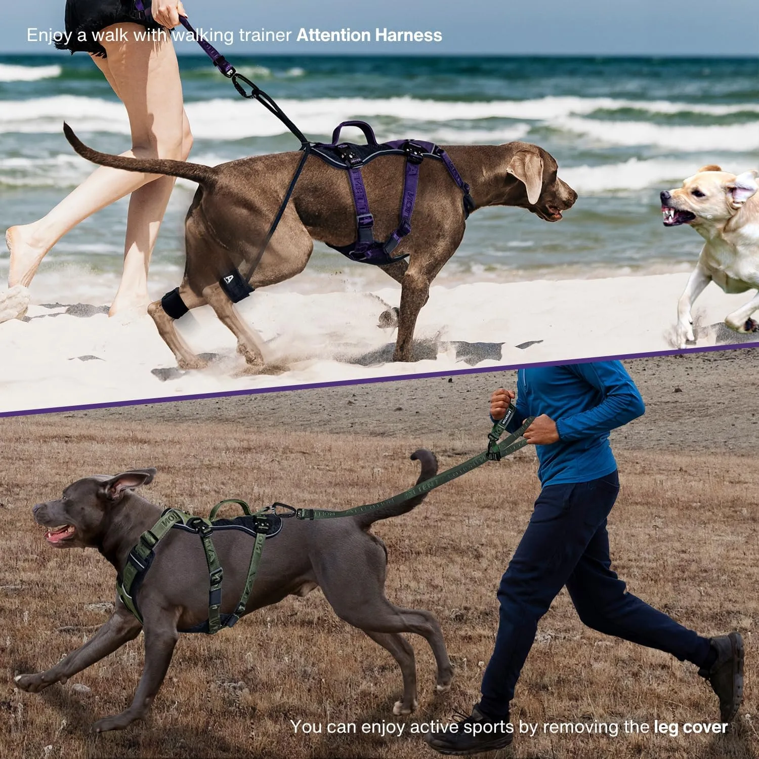 Easy Walk No Pull Dog Harness for Large Dogs, Heavy Duty Tactical Dog Harness with Handle, Easy Control and Training Better Leash Manners (Moss Green, Medium)