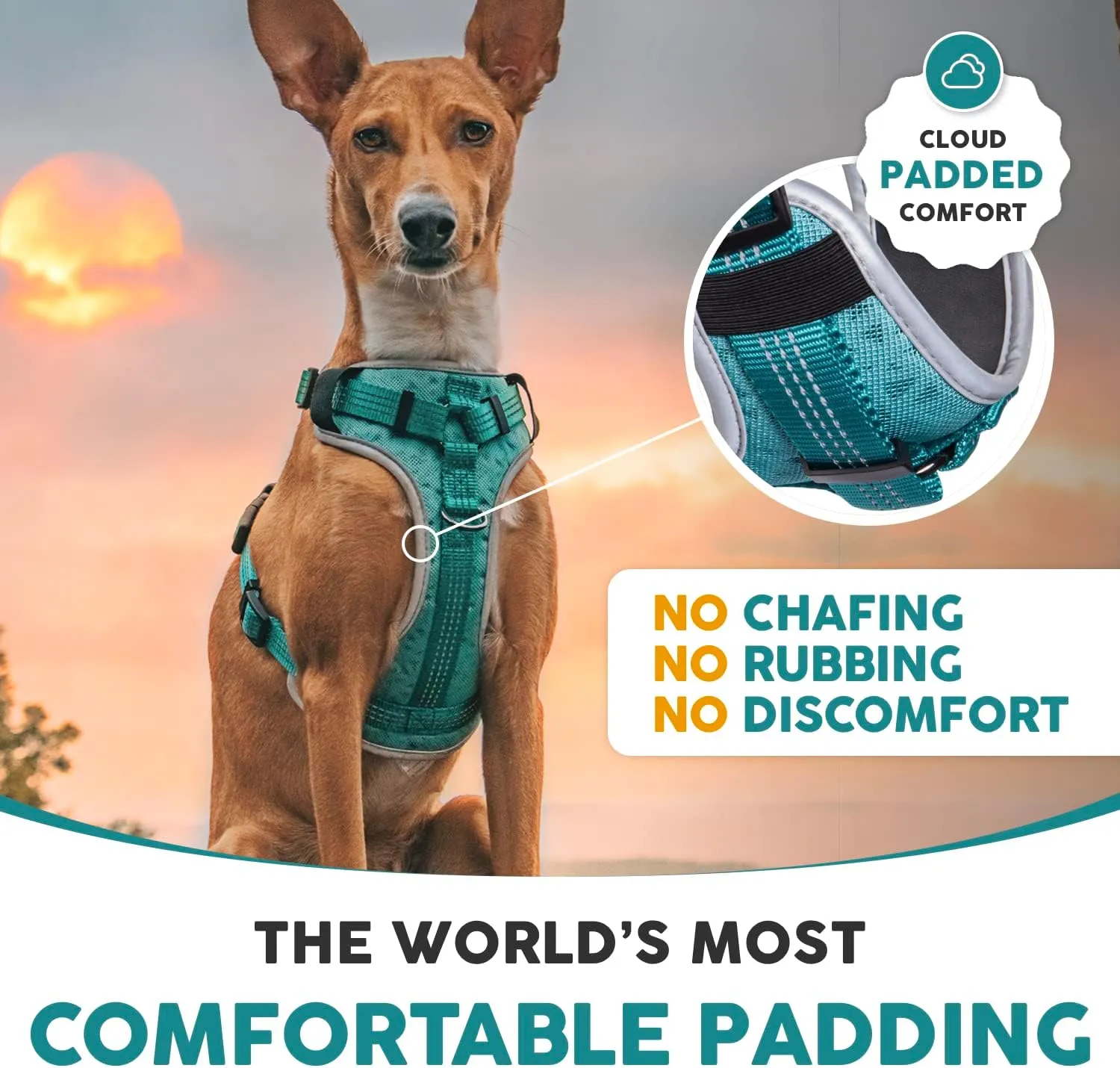 Embark Sports Dog Harness, Dog Harness for Large Dogs No Pull with Light and Breathable Design - Easy On and Off, No Pull Training, Size Adjustable, Non Choke with Handle for Control. Teal Vest