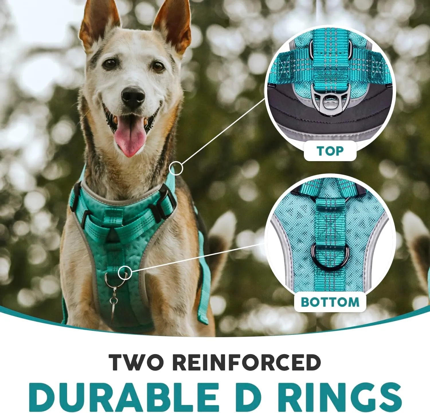 Embark Sports Dog Harness, Dog Harness for Large Dogs No Pull with Light and Breathable Design - Easy On and Off, No Pull Training, Size Adjustable, Non Choke with Handle for Control. Teal Vest