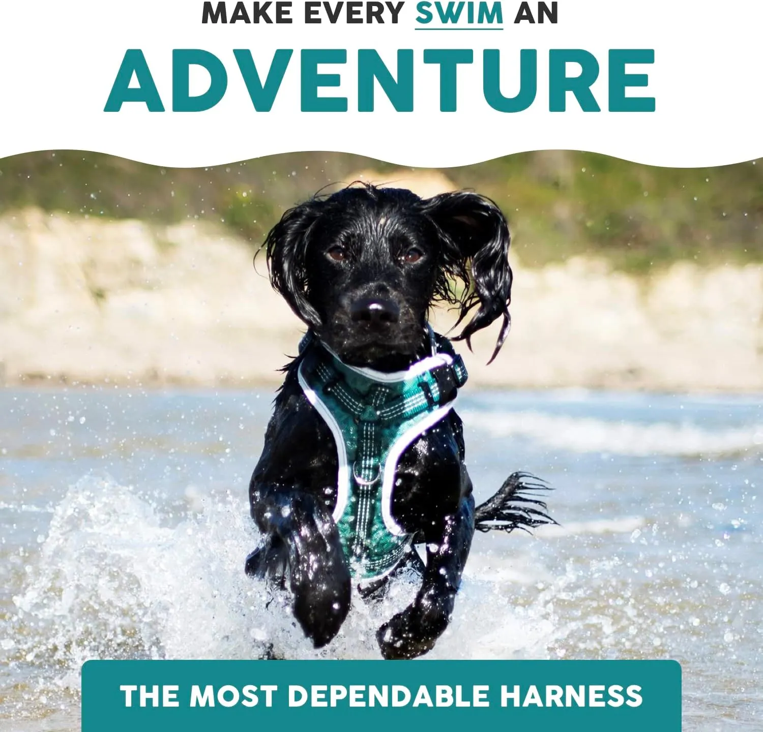 Embark Sports Dog Harness, Dog Harness for Large Dogs No Pull with Light and Breathable Design - Easy On and Off, No Pull Training, Size Adjustable, Non Choke with Handle for Control. Teal Vest