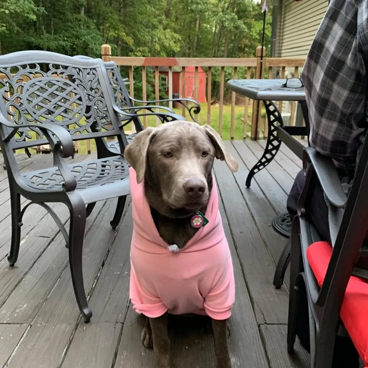 EXPAWLORER Princess Dog Cat Fleece Sweatshirt Hoodies Pink L