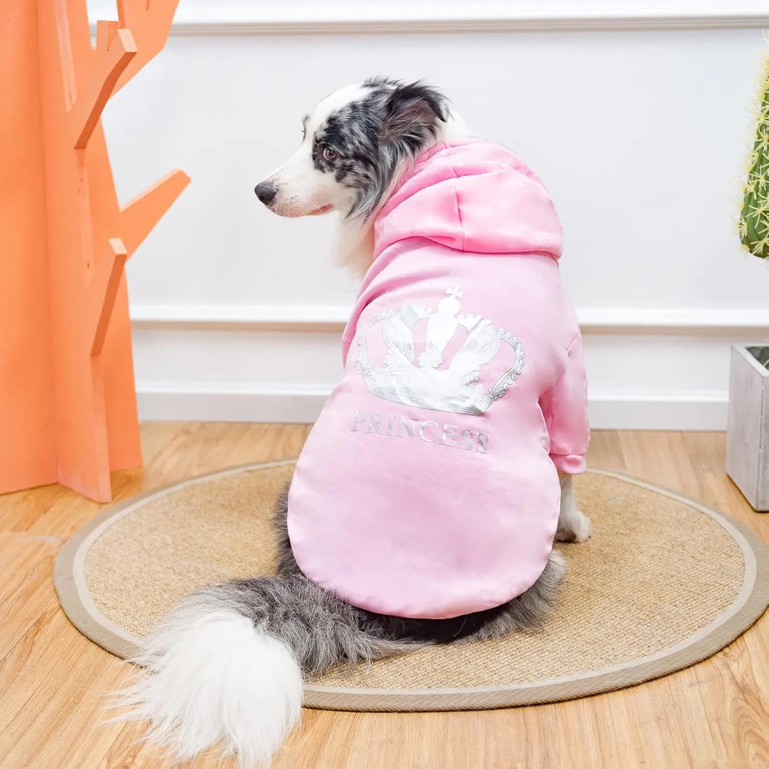 EXPAWLORER Princess Dog Cat Fleece Sweatshirt Hoodies Pink L