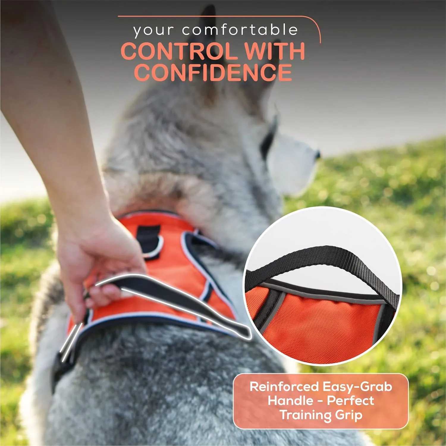 GoFortunePet Reflective No Pull Dog Harness to Walk Small, Medium and Large Pets - Easy Adjustable Design - Anti Escape, Heavy Duty Body Vest with Breathable Mesh, Weather Proof Nylon (Pink, XL)