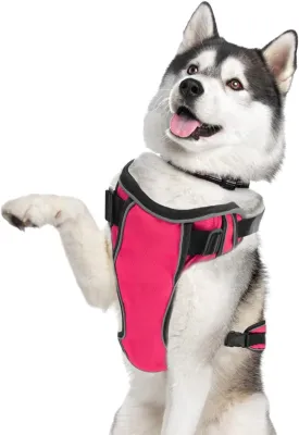 GoFortunePet Reflective No Pull Dog Harness to Walk Small, Medium and Large Pets - Easy Adjustable Design - Anti Escape, Heavy Duty Body Vest with Breathable Mesh, Weather Proof Nylon (Pink, XL)