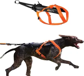 Non-stop dogwear Freemotion Harness 5.0 Dog Pulling Harness for Sports Like Running, Biking and Skiing with Dogs, Professional Adjustable Dog Harness, Orange/Black, Size 7