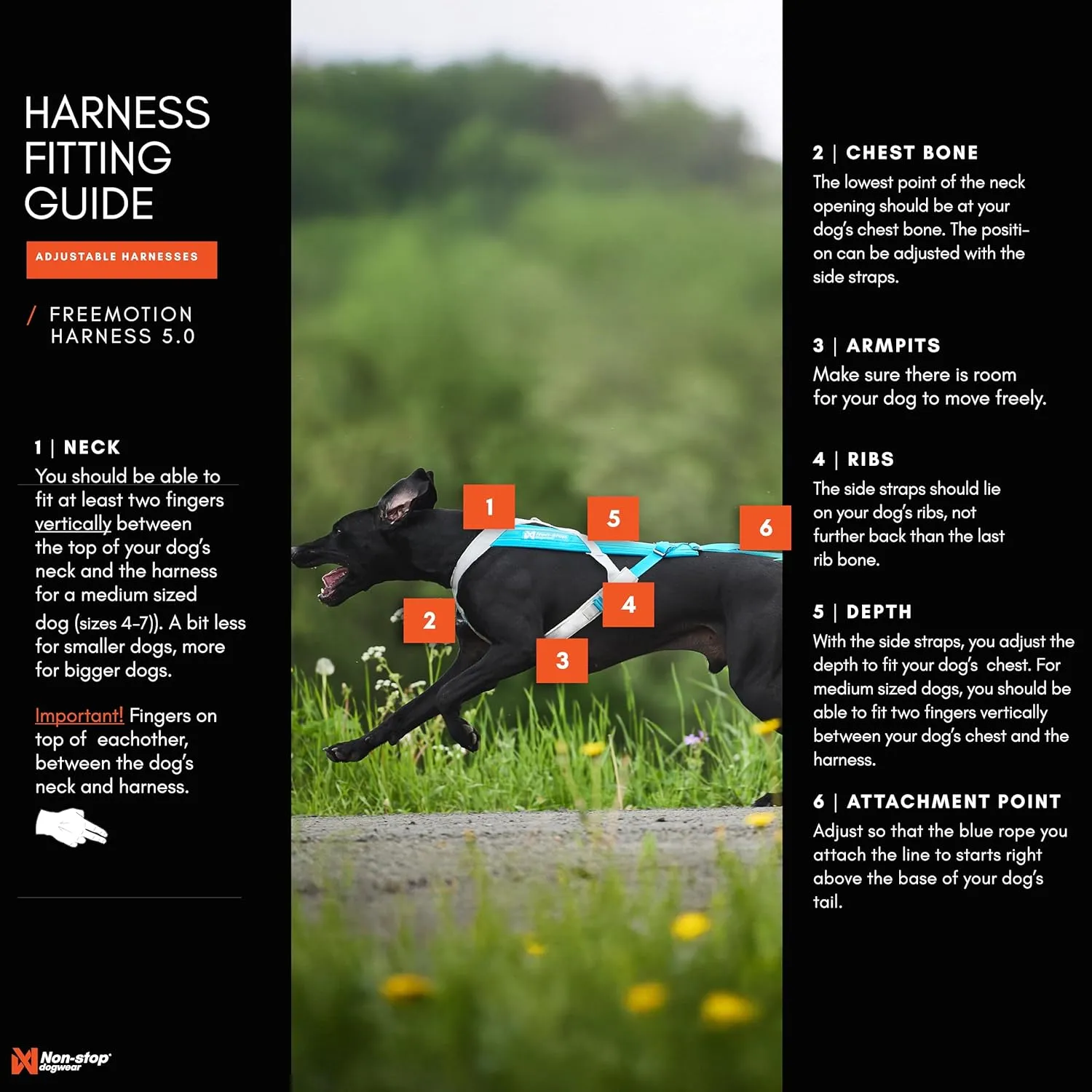Non-stop dogwear Freemotion Harness 5.0 Dog Pulling Harness for Sports Like Running, Biking and Skiing with Dogs, Professional Adjustable Dog Harness, Orange/Black, Size 7