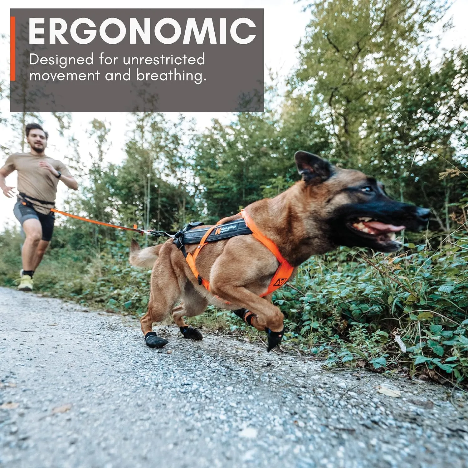 Non-stop dogwear Freemotion Harness 5.0 Dog Pulling Harness for Sports Like Running, Biking and Skiing with Dogs, Professional Adjustable Dog Harness, Orange/Black, Size 7