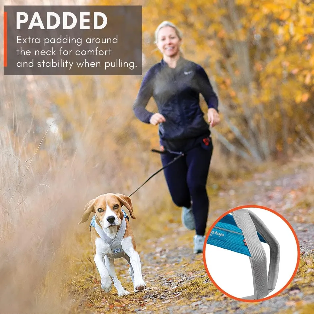 Non-stop dogwear Freemotion Harness 5.0 Dog Pulling Harness for Sports Like Running, Biking and Skiing with Dogs, Professional Adjustable Dog Harness, Orange/Black, Size 7