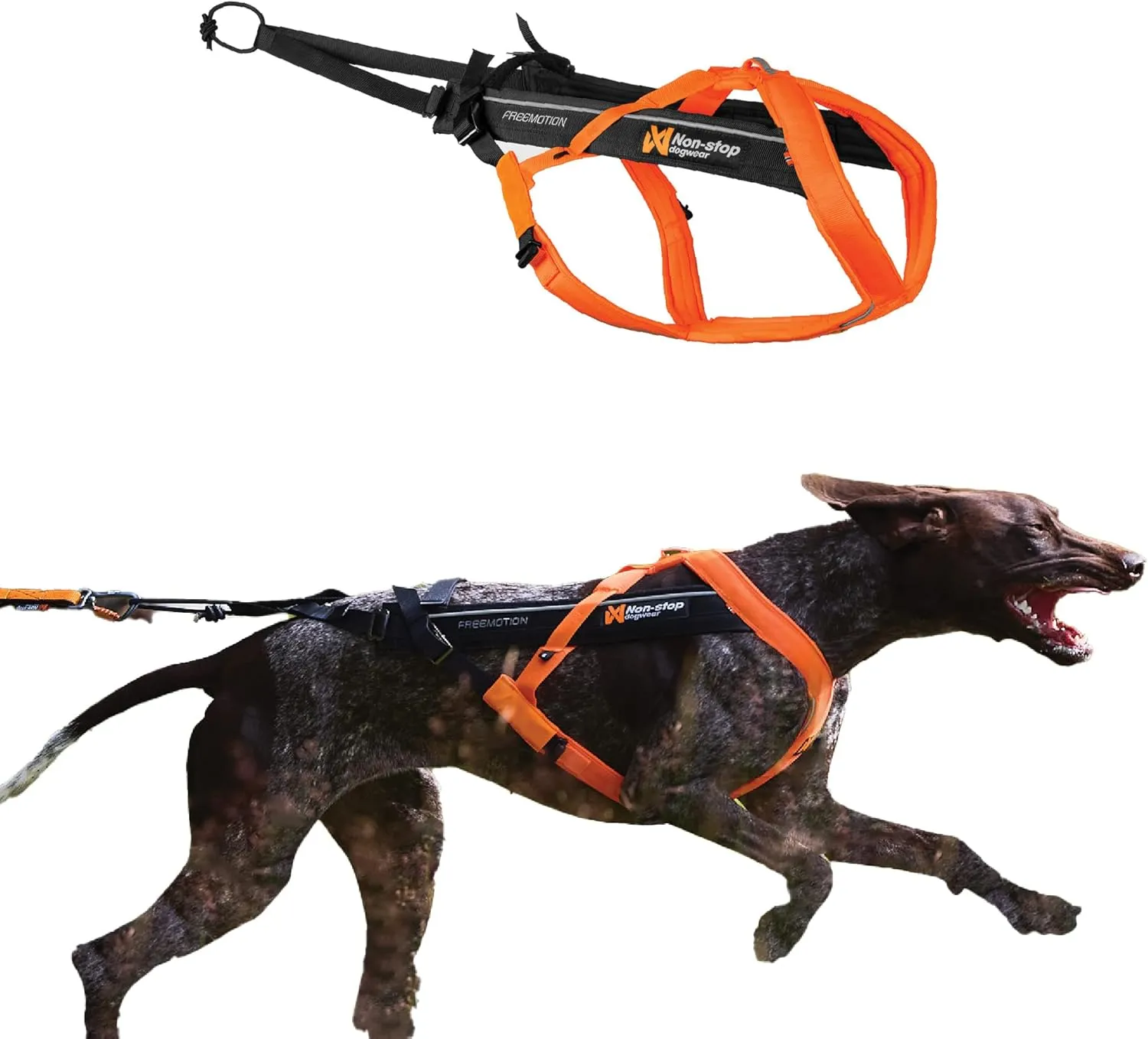 Non-stop dogwear Freemotion Harness 5.0 Dog Pulling Harness for Sports Like Running, Biking and Skiing with Dogs, Professional Adjustable Dog Harness, Orange/Black, Size 7