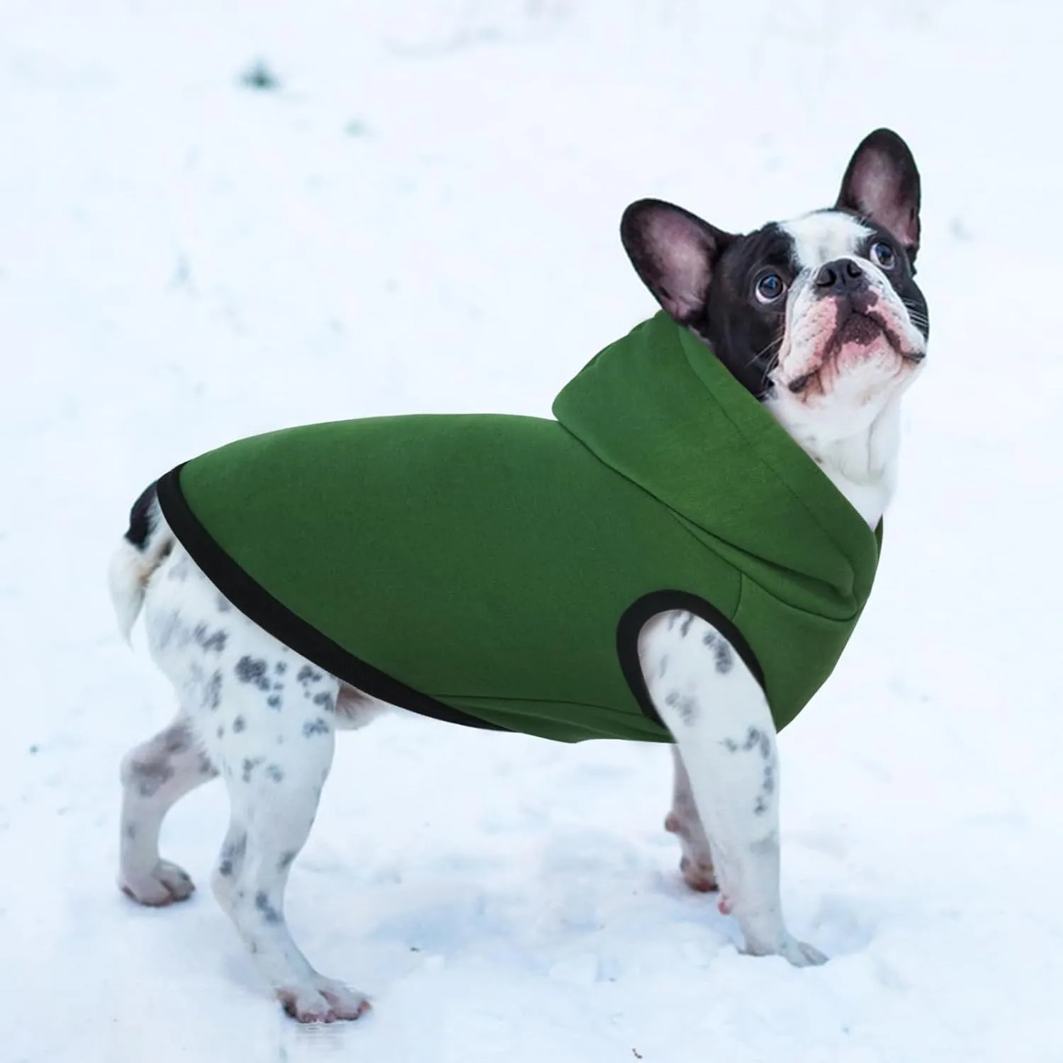 ROZKITCH Dog Hoodie, Winter Fleece Sweater, Soft Warm Pet Pullover, Christmas Outfit, Puppy Vest with Leash Hole, Green XL