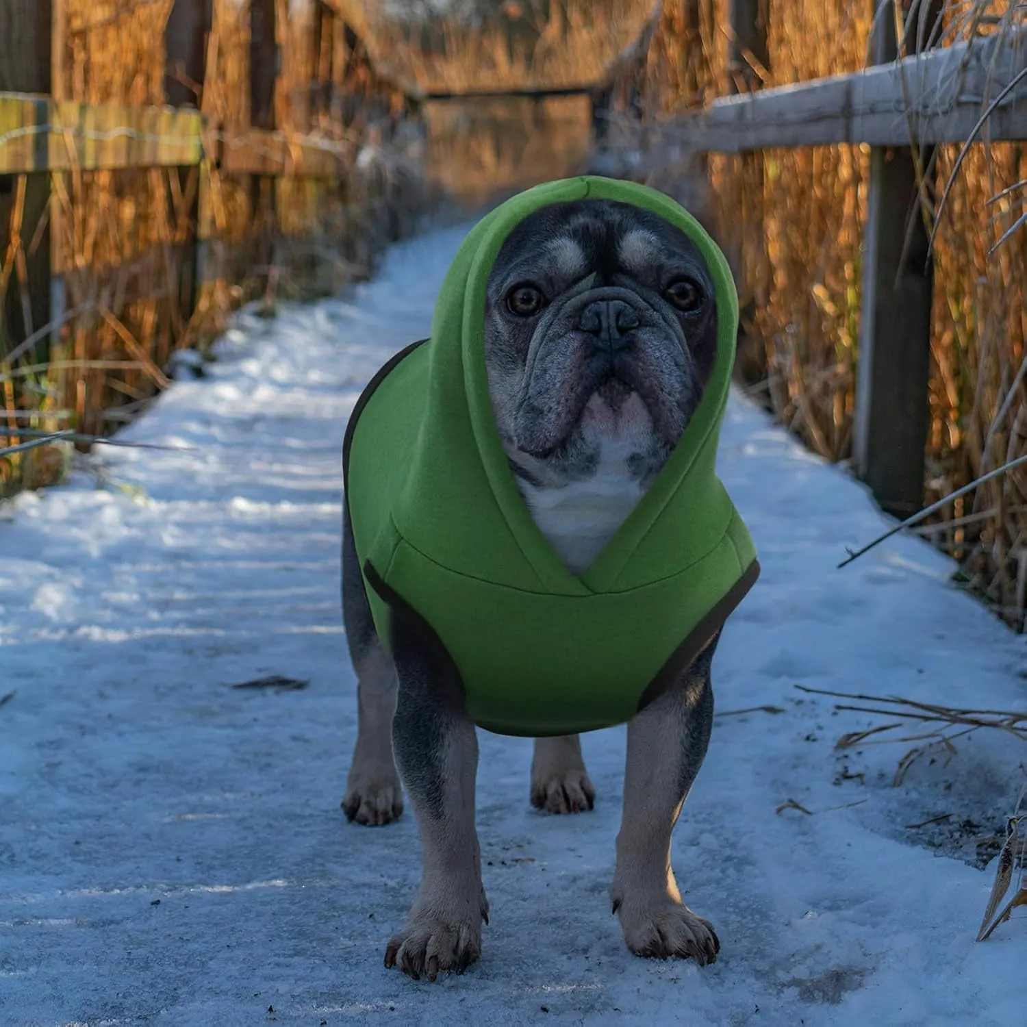 ROZKITCH Dog Hoodie, Winter Fleece Sweater, Soft Warm Pet Pullover, Christmas Outfit, Puppy Vest with Leash Hole, Green XL