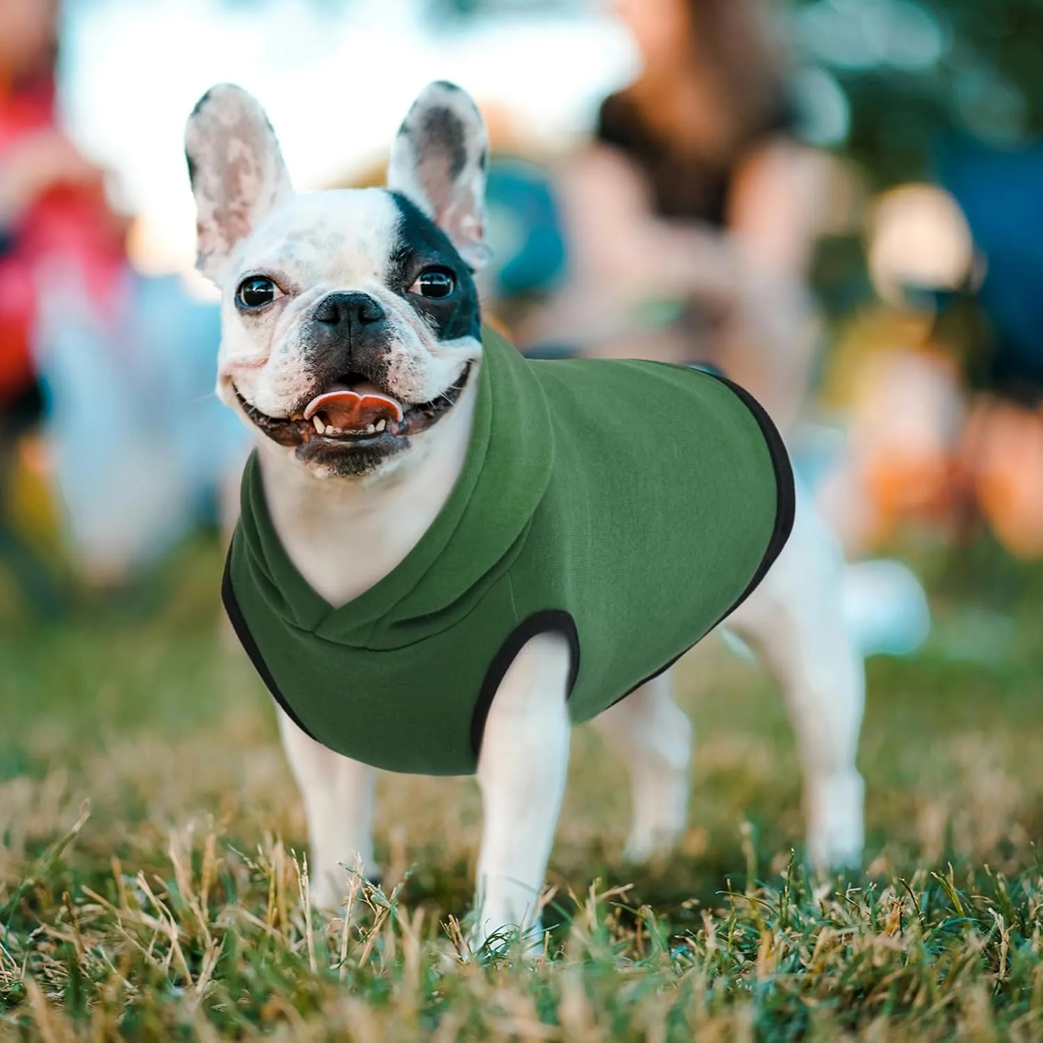 ROZKITCH Dog Hoodie, Winter Fleece Sweater, Soft Warm Pet Pullover, Christmas Outfit, Puppy Vest with Leash Hole, Green XL