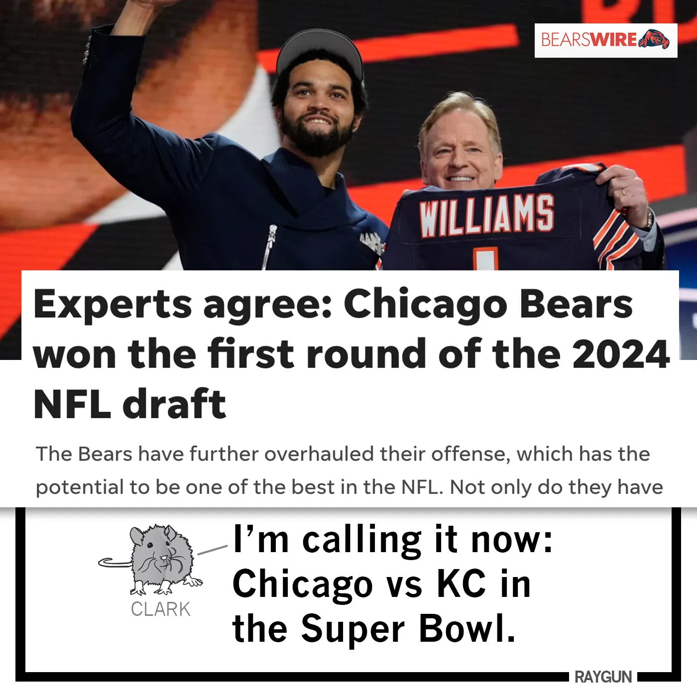 The Bears Are Back