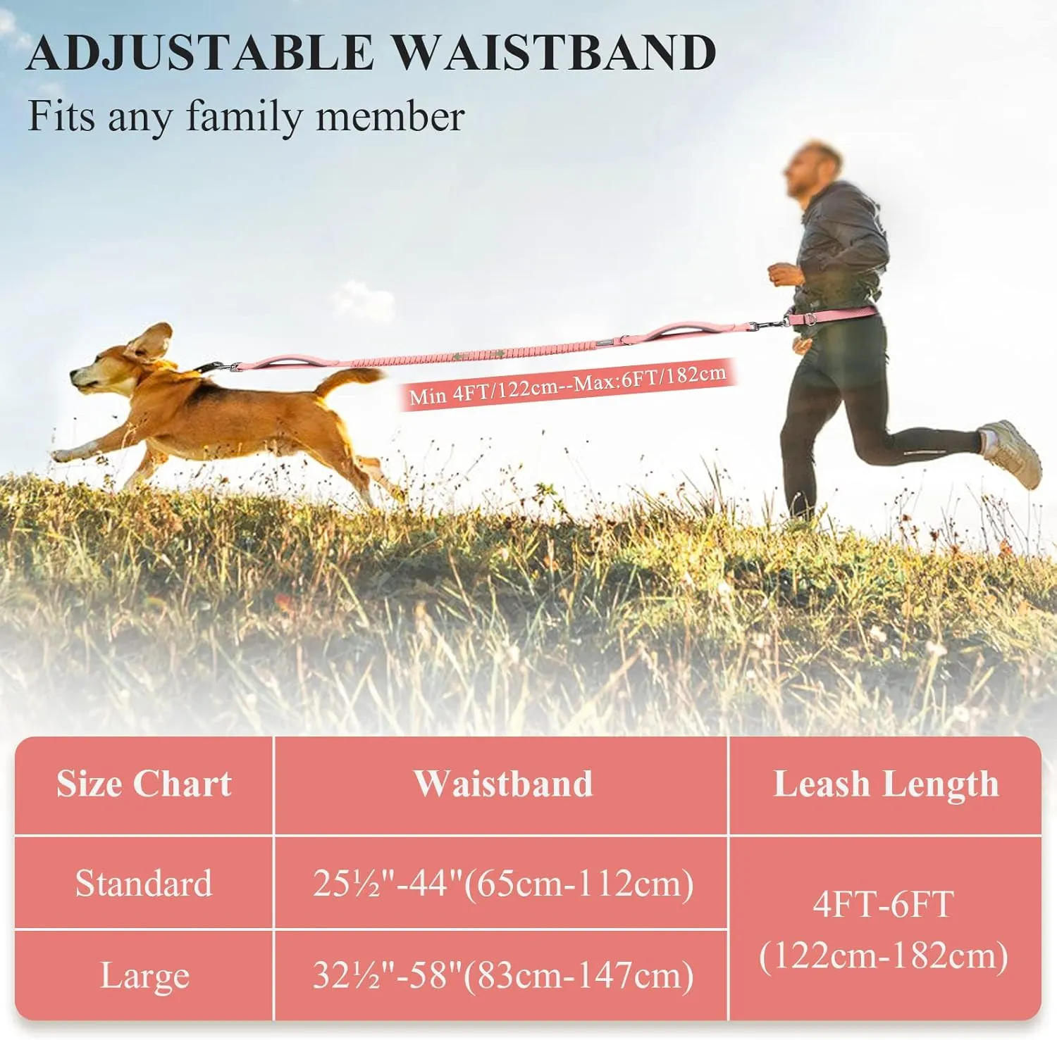 VIVAGLORY Hands Free Dog Leash, Shock-Absorbing Bungee Waist Leash for Medium & Large Dogs, Reflective Adjustable Running Leash with Dual Padded Handle for Walking, Jogging, Hiking