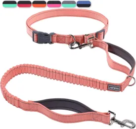 VIVAGLORY Hands Free Dog Leash, Shock-Absorbing Bungee Waist Leash for Medium & Large Dogs, Reflective Adjustable Running Leash with Dual Padded Handle for Walking, Jogging, Hiking