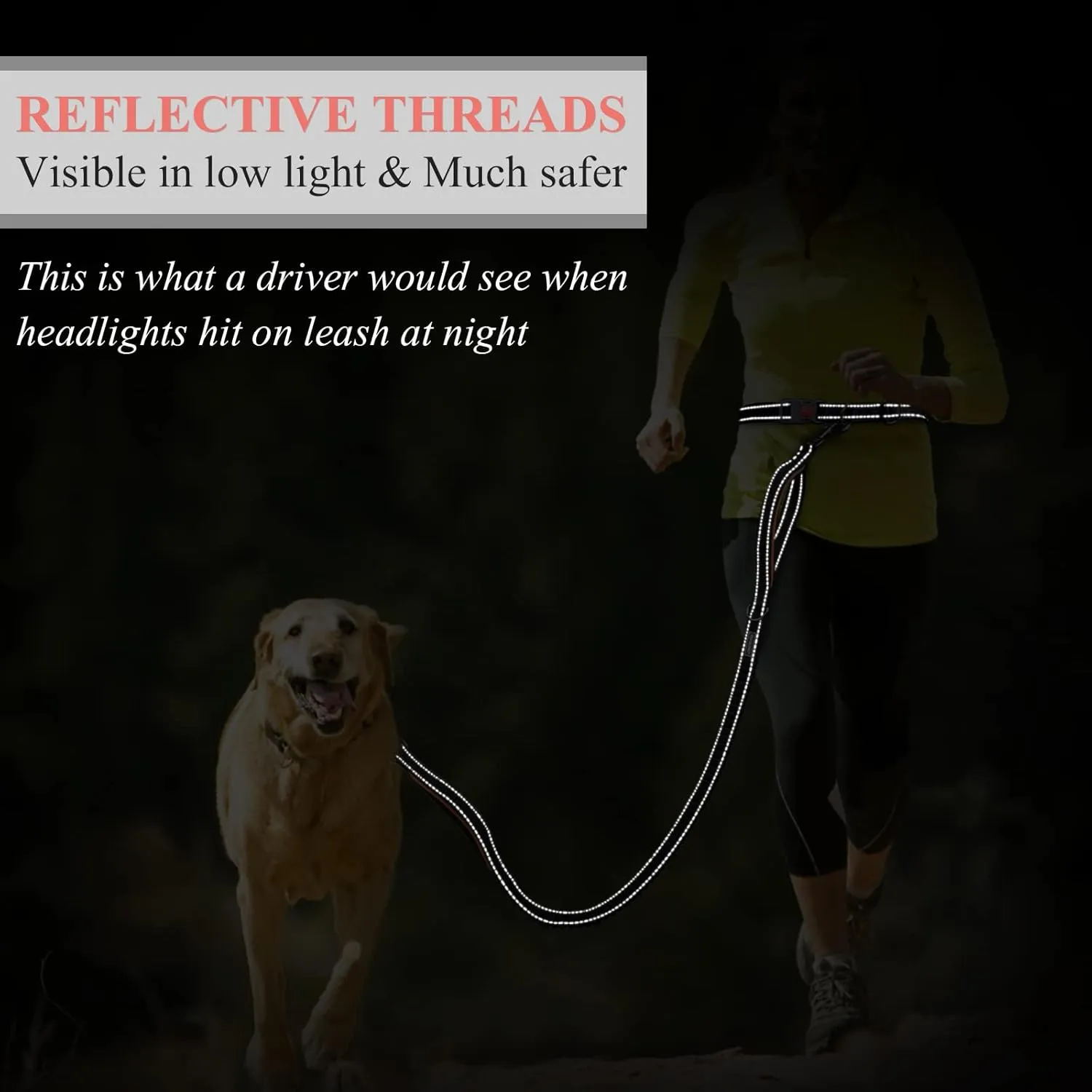 VIVAGLORY Hands Free Dog Leash, Shock-Absorbing Bungee Waist Leash for Medium & Large Dogs, Reflective Adjustable Running Leash with Dual Padded Handle for Walking, Jogging, Hiking