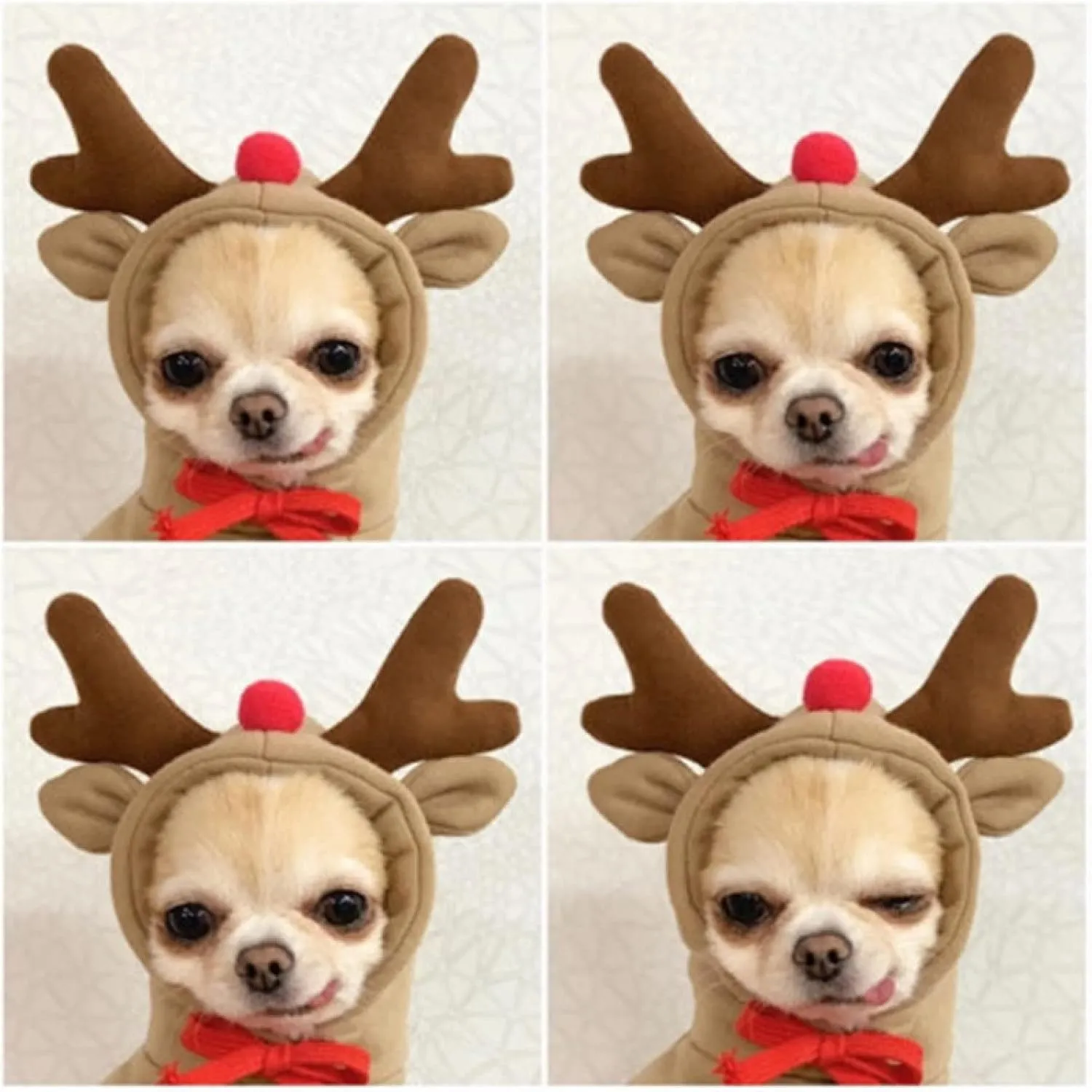 Warm Dog Winter Clothes Cute Fruit Dog Coat Hoodies Fleece Pet Dogs Costume Jacket for French Bulldog Chihuahua Ropa para Perro(Coffee,M)