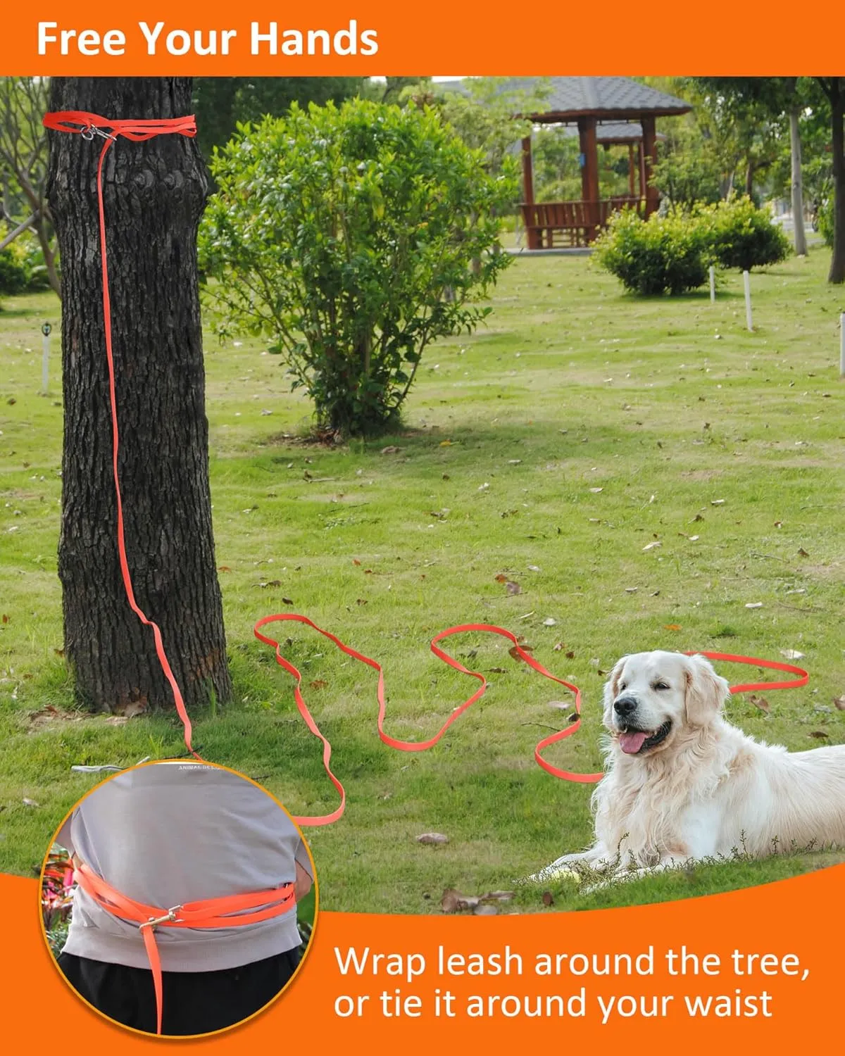 Waterproof Long Leash for Dogs Training 16FT/30FT/50FT, Long Dog Leash Heavy Duty,Dog Lead for Large Medium Small Dogs Outside Walking, Playing, Camping, or Yard(Orange 30FT)