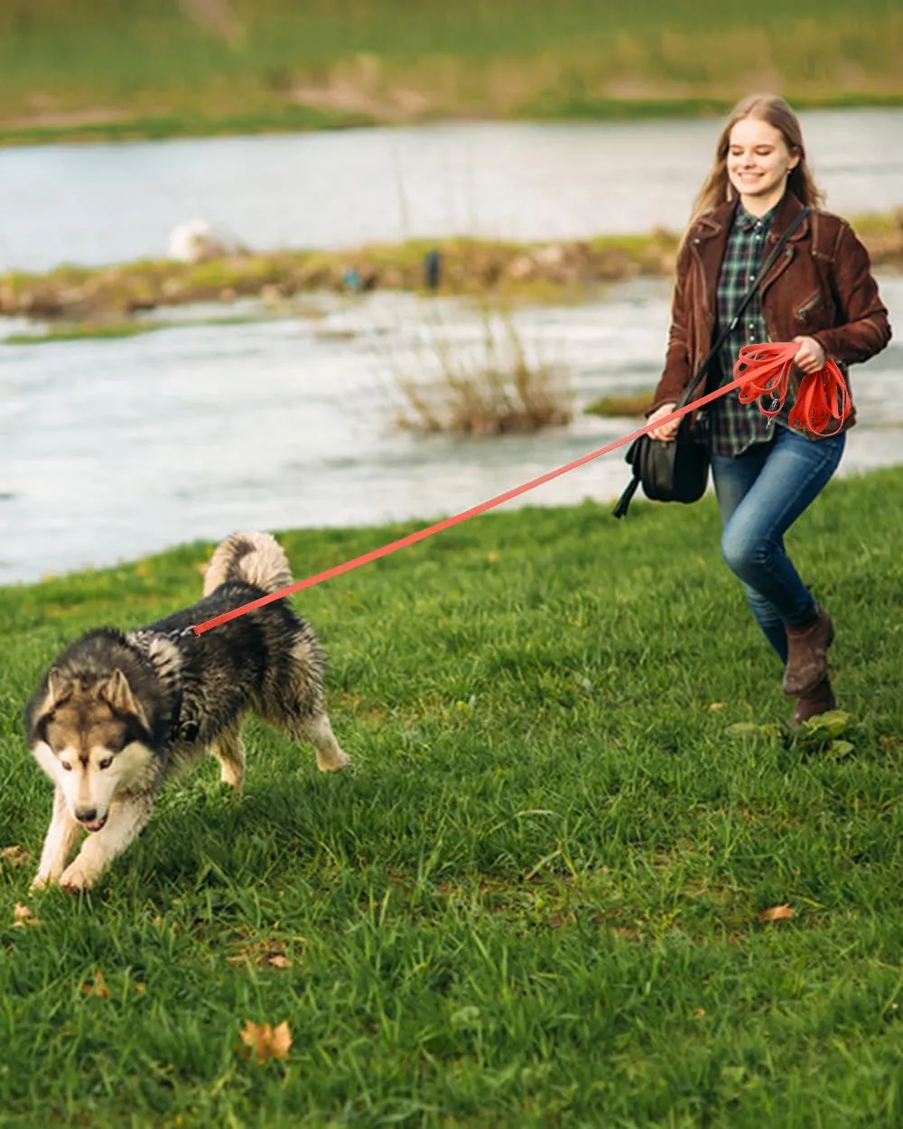 Waterproof Long Leash for Dogs Training 16FT/30FT/50FT, Long Dog Leash Heavy Duty,Dog Lead for Large Medium Small Dogs Outside Walking, Playing, Camping, or Yard(Orange 30FT)